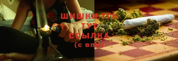 ECSTASY Белокуриха