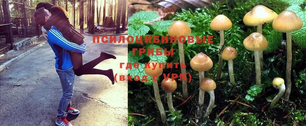 ECSTASY Белокуриха