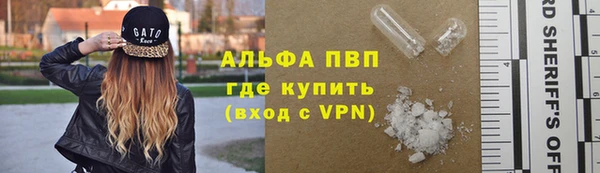 гашик Богданович