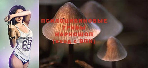 гашик Богданович