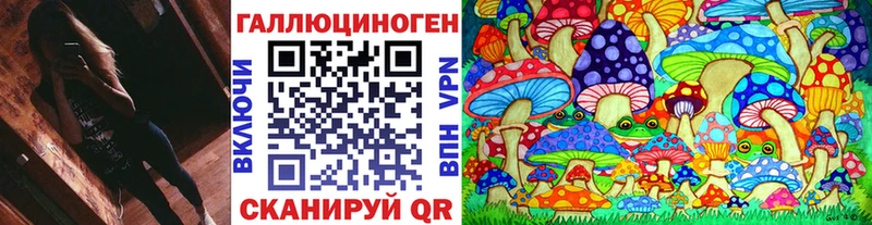 купить наркотик  Бокситогорск  Псилоцибиновые грибы Psilocybine cubensis 